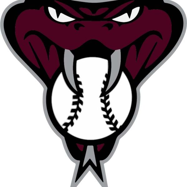 VAAS Baseball Waterproof Sticker Thumbnail